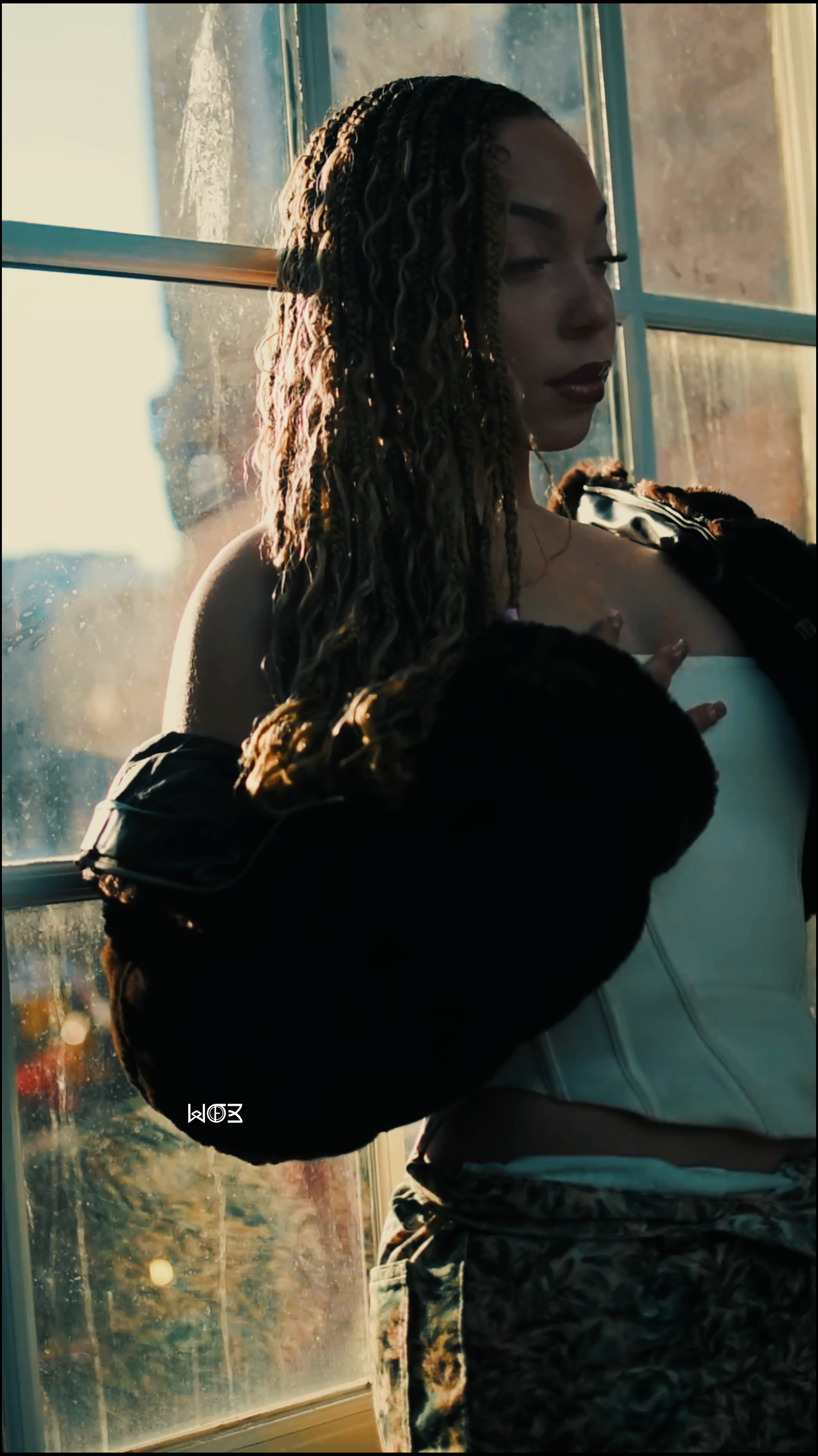 Window Profile